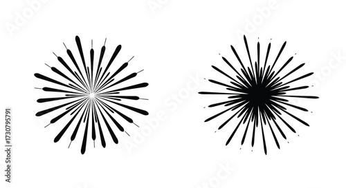 Two black starburst shapes on a white background displaying radial symmetry