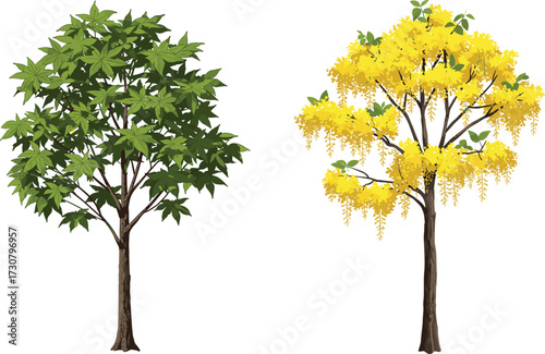 Beautiful green leafy tree and golden shower tree with yellow flowers, tropical botanical illustration, seasonal nature artwork, lush foliage design