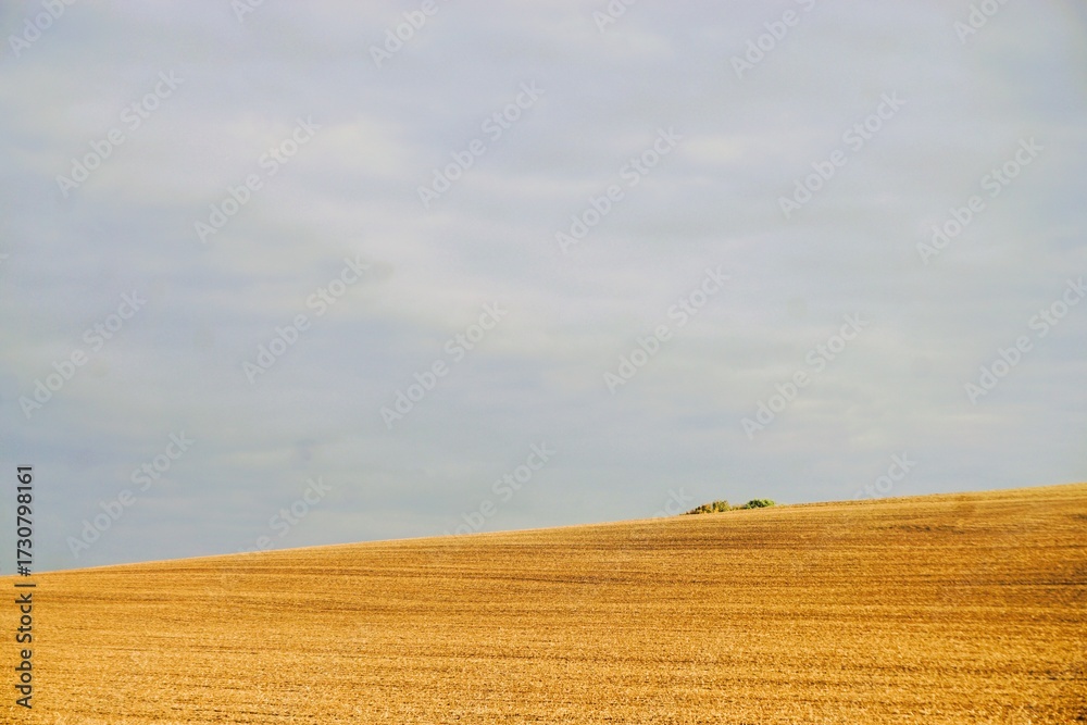 Fototapeta premium Landschaftspanorama mit goldgelbem abgeerntetem Weizenfeld vor blau-grauem Himmel in der Natur bei Sonne und Wind am Nachmittag im Spätsommer