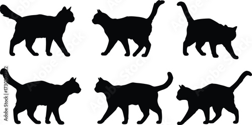 Cat silhouettes walking and standing, domestic pet illustration, feline animal artwork, nature posture study, black cat design, wildlife behavior reference