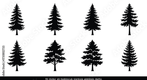 A collection of silhouetted evergreen trees in varying shapes and sizes