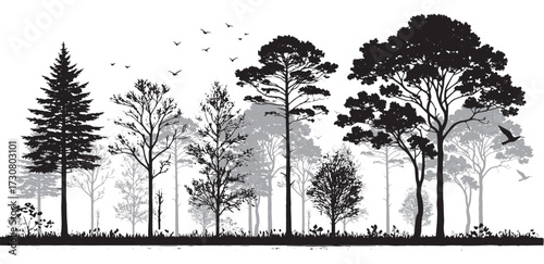 Architectural style minimal CAD tree line drawing in side view, featuring wetland forest section outlines. Clean black and white line art illustration with separate elements, perfect for landscape 