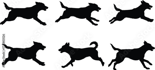 Dog silhouettes running sequence, domestic pet illustration, canine animal artwork, motion study design, black dog drawing, wildlife behavior reference, dynamic posture study
