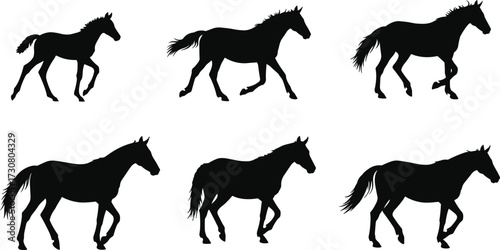 Horse silhouette collection, black horse outlines, walking and trotting gait sequence, equine motion posture, vector design, isolated illustration, artwork set