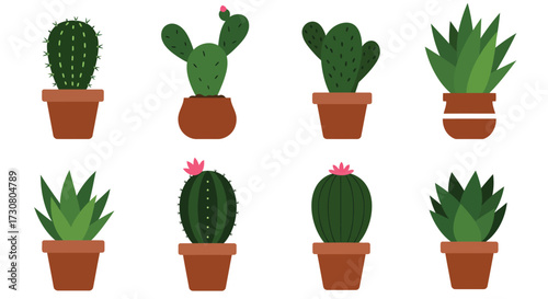 Collection of various potted cacti and succulents in a flat design style