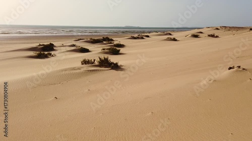 Desert landscape in Dakhla Bay, Western Sahara