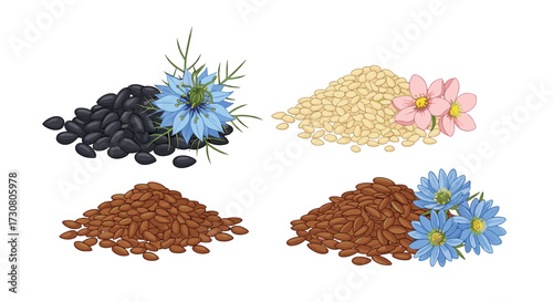 An assortment of nutrient rich seeds and flowers for healthy eating.