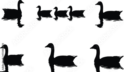 Silhouette ducks swimming on water, family of ducklings with mother, wildlife nature scene, peaceful lake reflection, bird flock illustration design