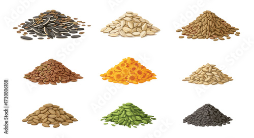 A collection of nine piles of various seeds and grains for culinary purposes.