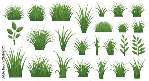 A variety of green grass clumps and leafy branches in different sizes and shapes.