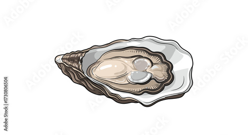 A detailed illustration of a single opened oyster showing its pearly interior and textured shell.