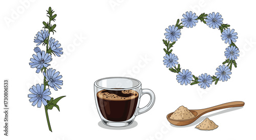 A beautiful collection of chicory plant and coffee ingredients for your health