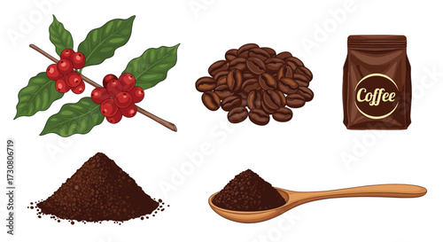 A collection of visuals depicting coffee beans and their journey from plant to brewed beverage.