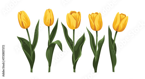 A delightful collection of five vibrant yellow tulips in full bloom creating a picturesque spring garden scene.