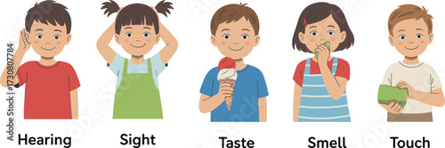 Five senses cartoon illustration of children learning, hearing sight taste smell touch, educational vector design for kids science, classroom teaching material concept