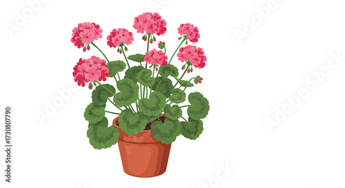 A potted plant with vibrant pink flowers and lush green leaves.