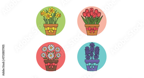 A collection of four potted plants in circular frames each with unique flowers and colors.
