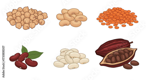 A collection of various food items including legumes and cocoa beans.