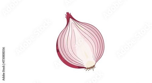 A detailed illustration of a red onion cut in half revealing its concentric rings and texture.