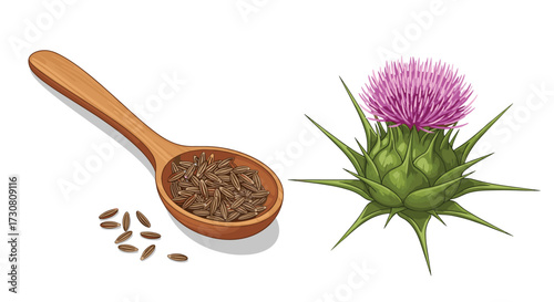 Milk thistle seeds and flower health benefits and uses.
