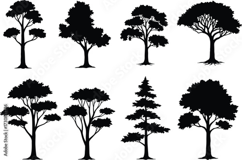 Silhouettes of different trees including oak, pine, and forest varieties with unique shapes isolated on white background vector illustration design