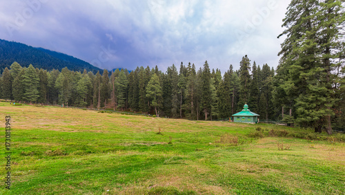 Often called the “Mini Switzerland of Kashmir”, Baisaran is a vast, lush green meadow surrounded by pine-clad mountains, just 5 km from Pahalgam.