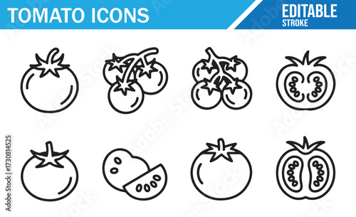 Food Ingredient Icons — Tomato Variations in Line Art for Culinary Projects