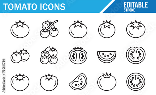Tomato Line Icons — Whole, Cherry Vine, Slices, Seeds, Editable Stroke Set