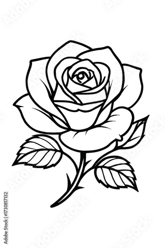 Wallpaper Mural Black and White Rose Flower Vector Illustration - Detailed Line Art Drawing Torontodigital.ca