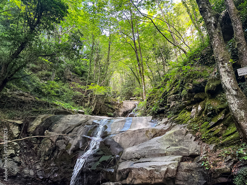 Waterfall and stream inside of the forest. Arezzo region in Tuscany, Italy. Summer in Italy.