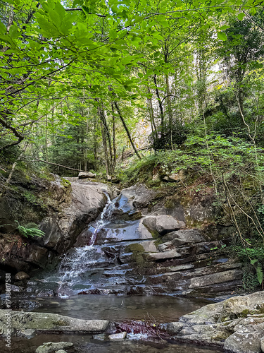 Waterfall and stream inside of the forest. Arezzo region in Tuscany, Italy. Summer in Italy.