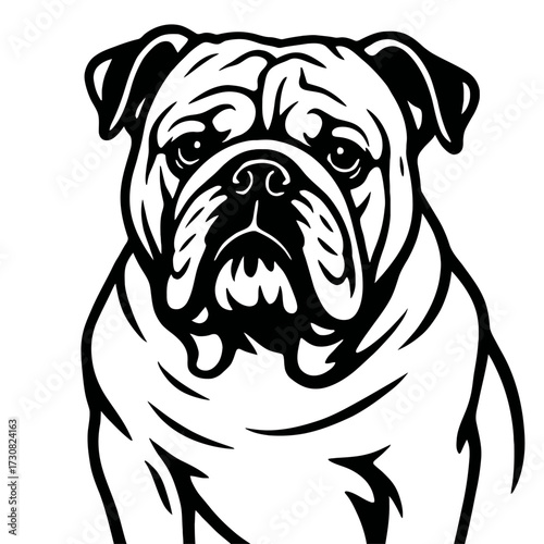 Bulldog Dog Head Vector Illustration - Cute Pet and Mascot Graphic