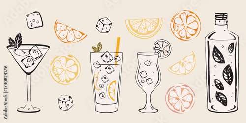 Hand drawn collection of refreshing citrus drinks and ingredients for summer cocktails