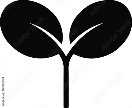 Vector Plant seedling with two leaves silhouette Illustrator