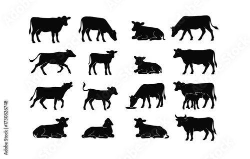 Silhouette collection of cows in various poses on white background