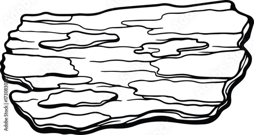 Vector Tree bark piece monochrome textured detail silhouette Illustrator