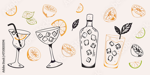 Hand drawn illustration of refreshing summer cocktails with citrus fruits and ice cubes