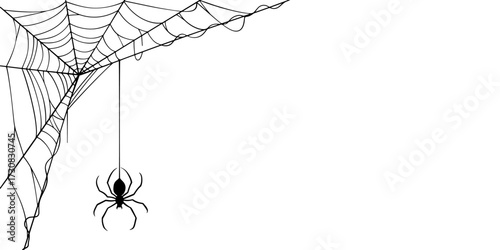 spider and cobweb vector illustration on transparent background