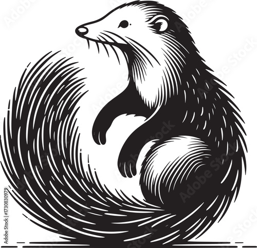 Otter in the engraving style. Vector illustration