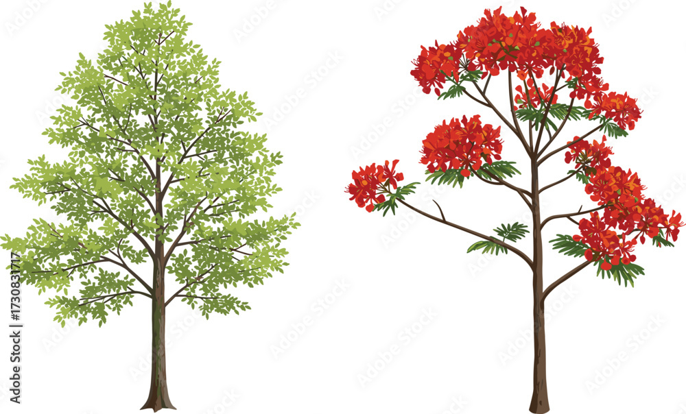 Fototapeta premium Green leafy tree and red flowering tree illustration, seasonal botanical design, nature artwork, forest plant drawing, garden decoration background