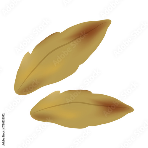 Two realistic dried leaves depicted on a white background, illustrating autumn's gentle decay and the beauty of nature's cycles