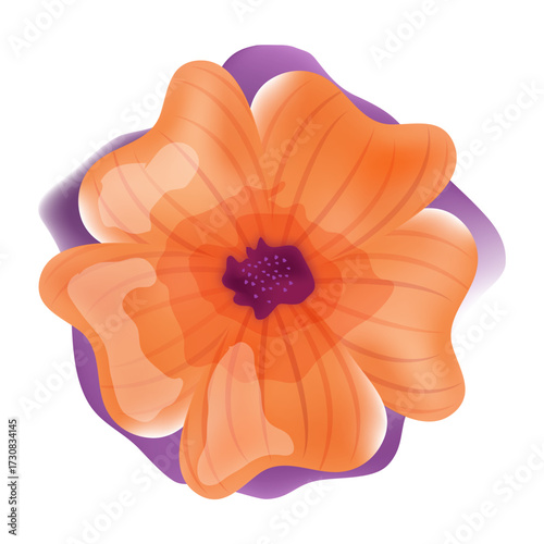 Vibrant Orange Poppy Flower Illustration with Purple Abstract Background, Nature's Beauty