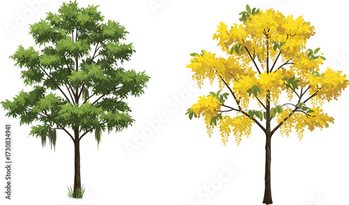 Green leafy tree and yellow flowering tree illustration, vibrant garden design, colorful seasonal foliage artwork, botanical nature background, natural forest landscape