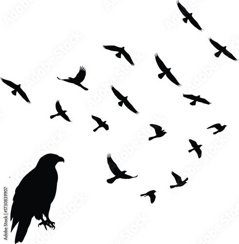 Bird Silhouette Flying and Sitting Vector Design .