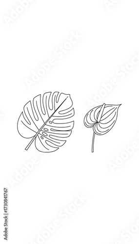 Minimalist black and white line art illustration of a Monstera deliciosa and an Anthurium leaf on a white background.