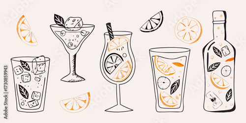 Hand drawn collection of refreshing citrus drinks and fruit slices with ice cubes and mint leaves