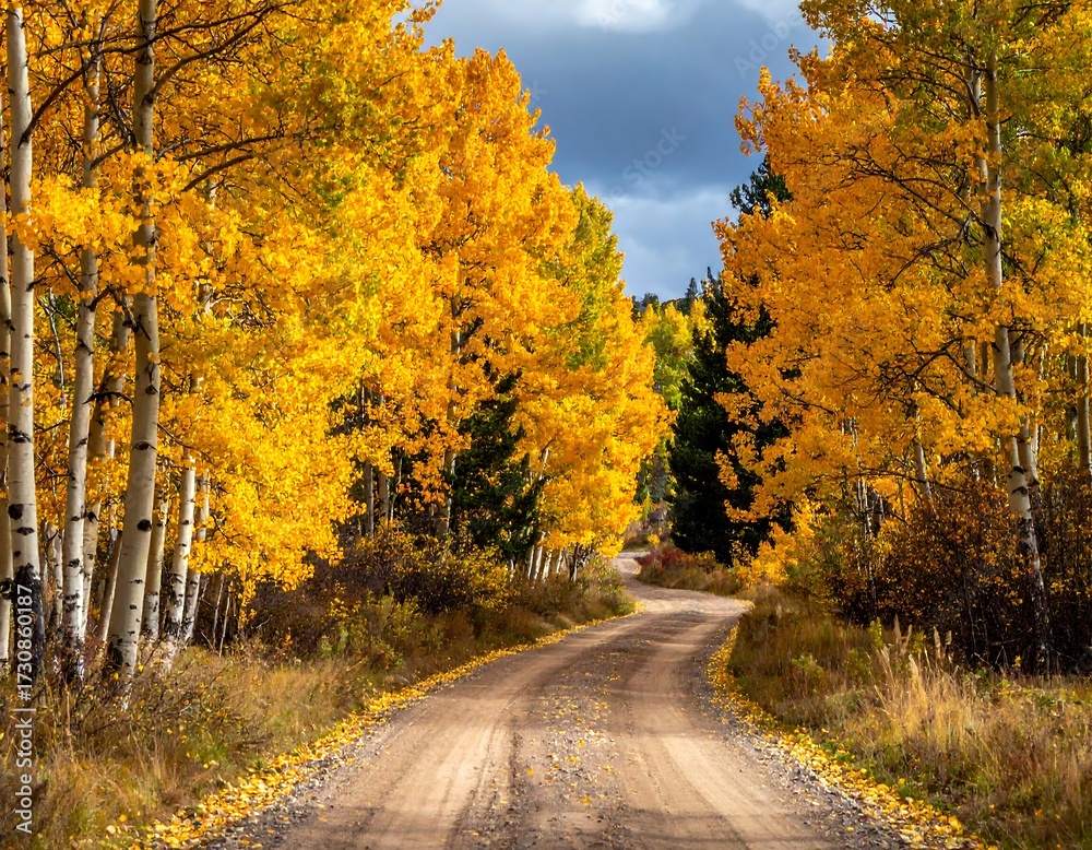 Fototapeta premium Autumnal forest road