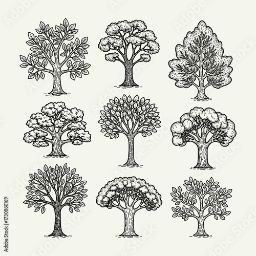 Collection of nine hand-drawn vintage-style trees with detailed leaves and trunks, in black and white sketch art.