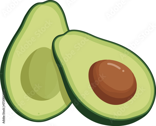 Fresh ripe avocado halves healthy food ingredient isolated vector