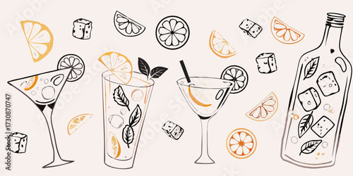 Refreshing citrus cocktails and ingredients with hand drawn style and orange accents